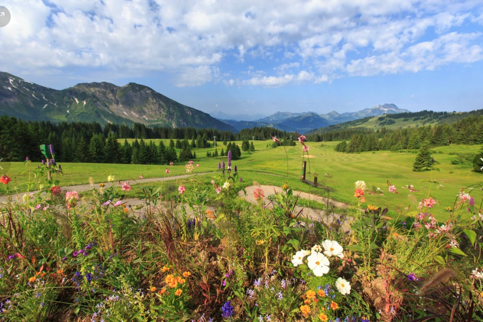 Golf d’Avoriaz-Morzine